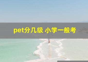 pet分几级 小学一般考